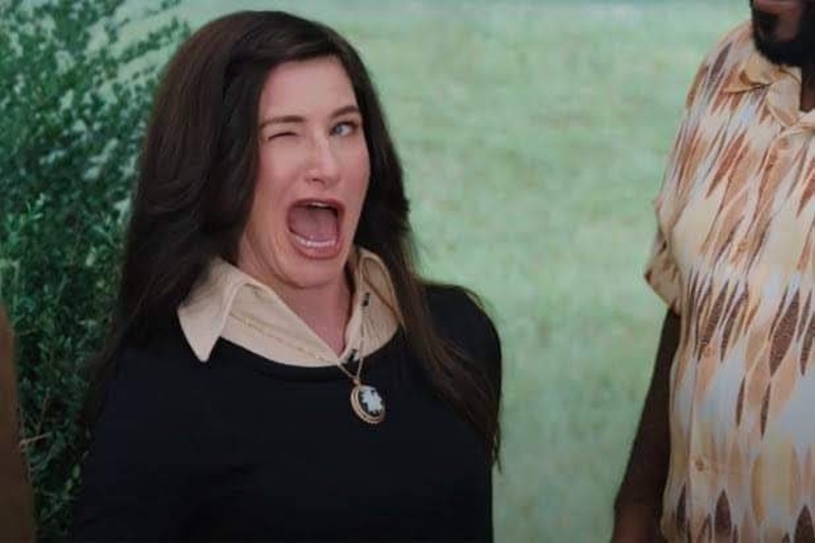Agnes Harkness Winking meme about work