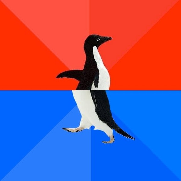 Socially Awesome Awkward Penguin meme about school