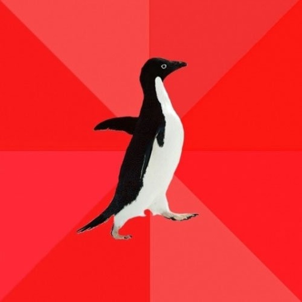 Socially Awesome Penguin meme about work