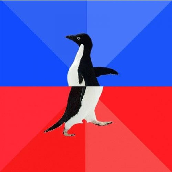 Socially Awkward Awesome Penguin meme about coding