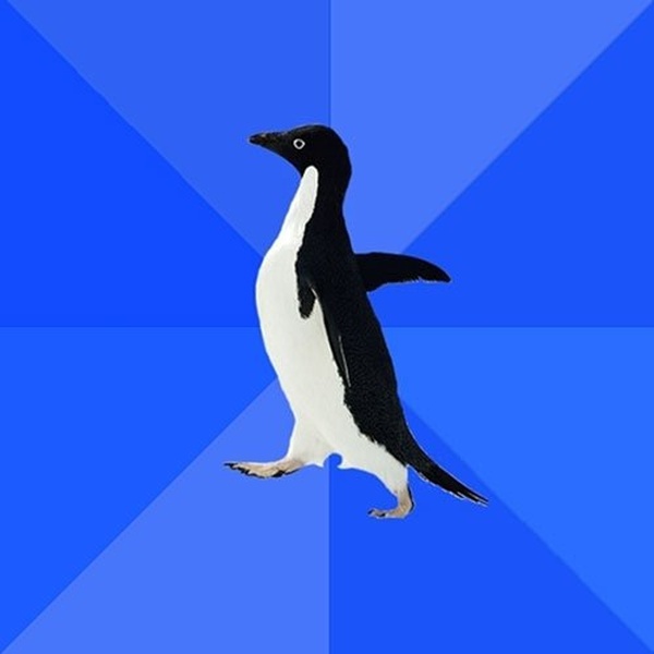 Socially Awkward Penguin meme about school