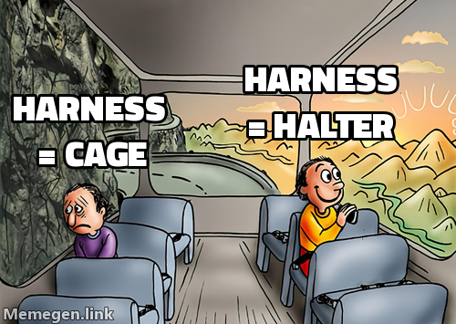 Two Guys on a Bus meme: on the left, a man scowling out the window, captioned 'harness = cage'; on the right, a man smiling at the same view, captioned 'harness = halter'.