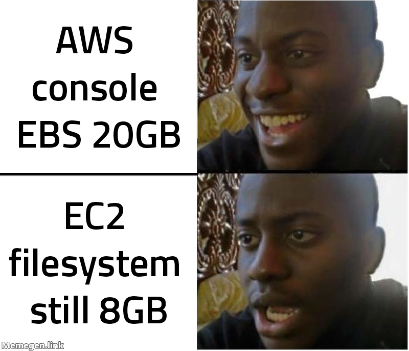 AWS 콘솔의 EBS 용량과 EC2 내부 파일시스템 용량이 다른 현실 짤