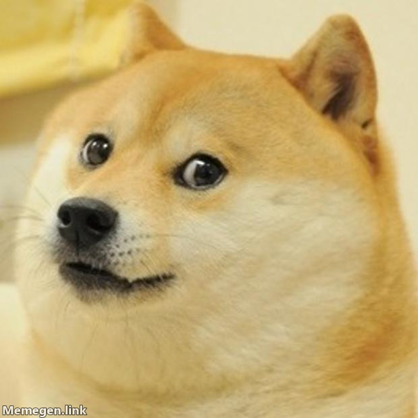 doge meme