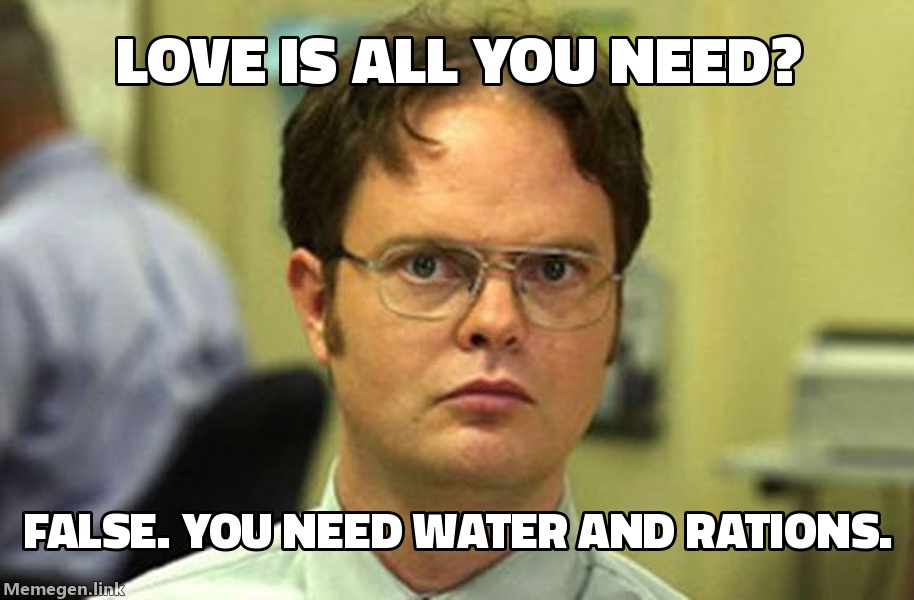 Dwight Schrute — False