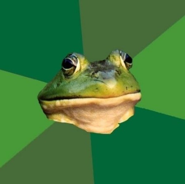 Foul Bachelor Frog meme about school