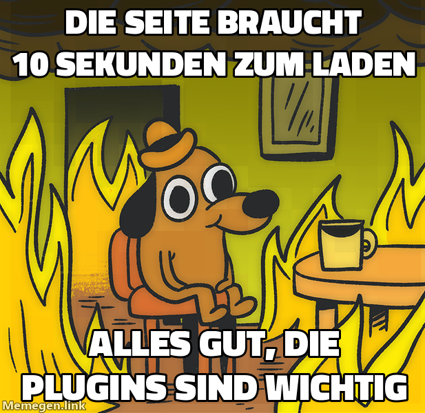 Die Seite braucht 10 Sekunden zum Laden / Alles gut, die Plugins sind wichtig