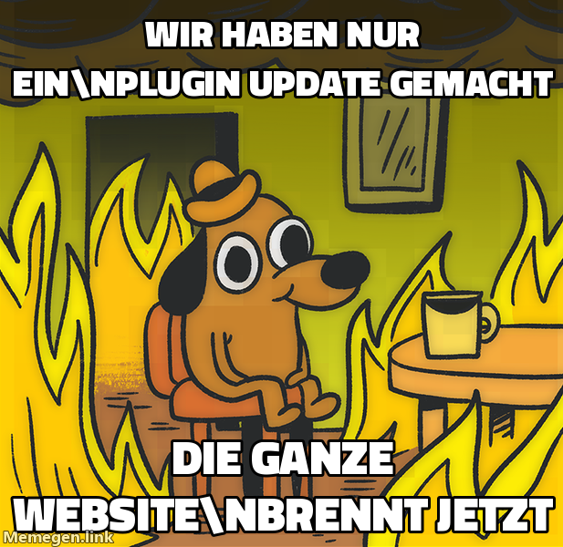 WIR HABEN NUR EIN\nPLUGIN UPDATE GEMACHT / DIE GANZE WEBSITE\nBRENNT JETZT