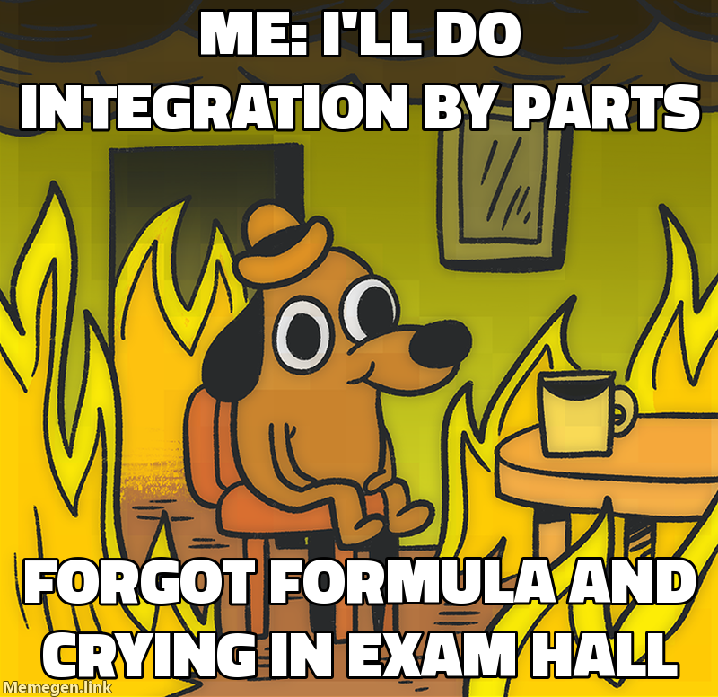 integration by parts meme about Explain integration by parts like I'm in class 12