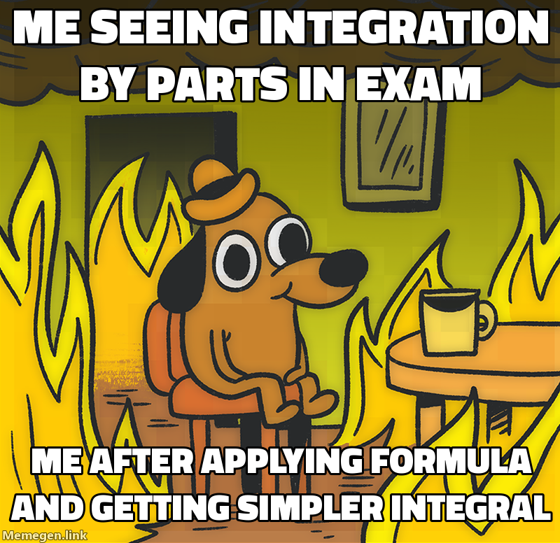 integration by parts formula meme about Explain integration by parts with formula