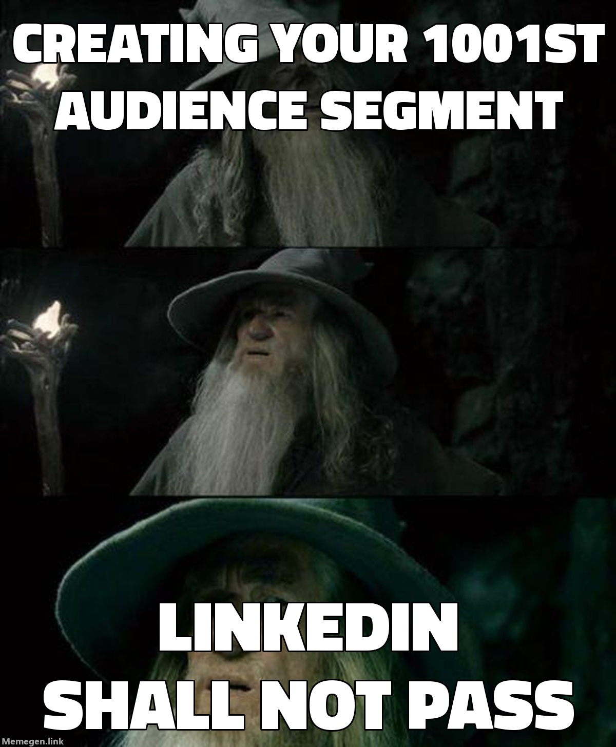 LinkedIn Just Capped Your Matched Audiences at 1,000 Segments. Here's How to Audit Before It Blocks You.