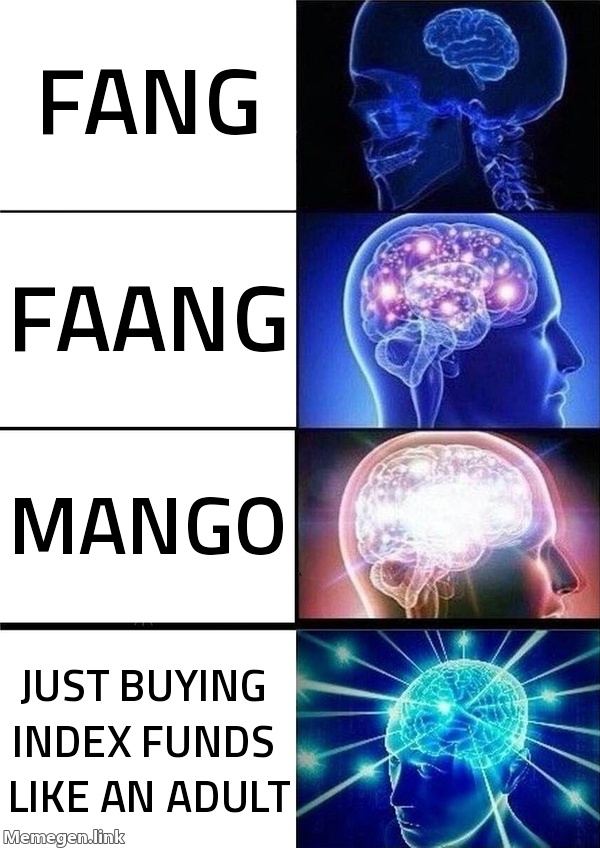 FANG → FAANG → MAMAA → MANGO → just buying index funds like an adult.