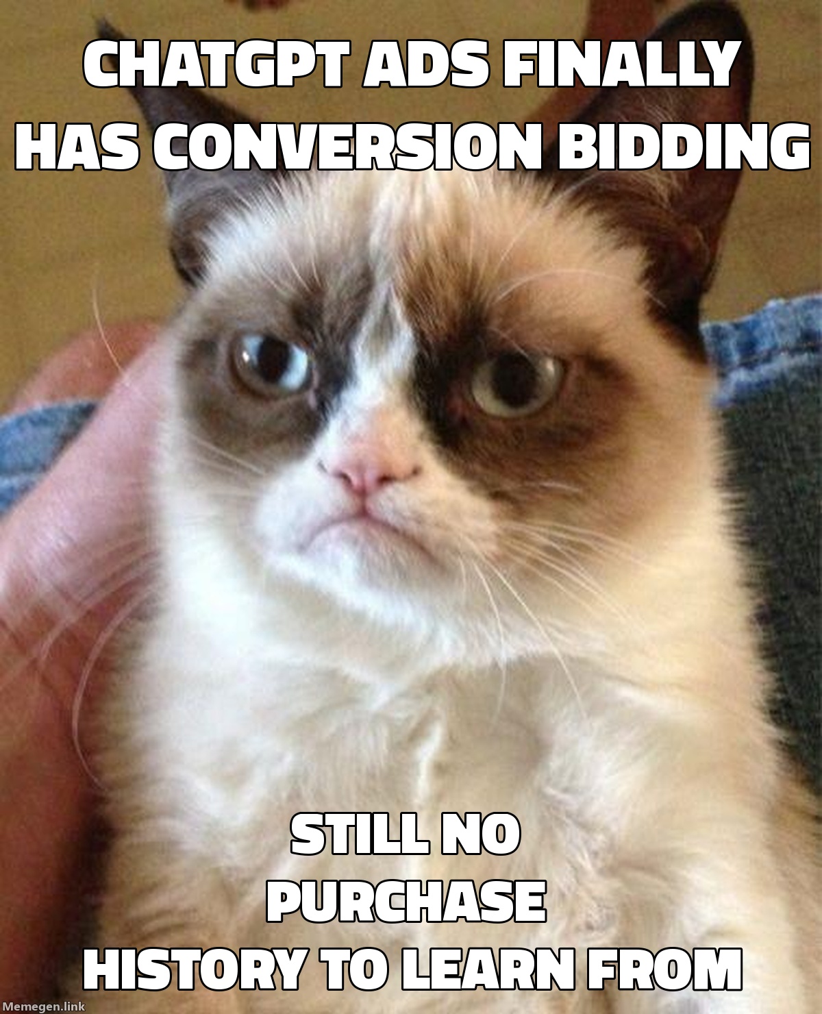 ChatGPT Ads Has Conversion Bidding Now. The Learning Phase Problem Is Real.
