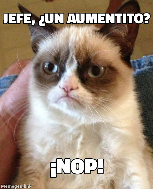 meme: Jefe, ¿un aumentito? / ¡Nop!