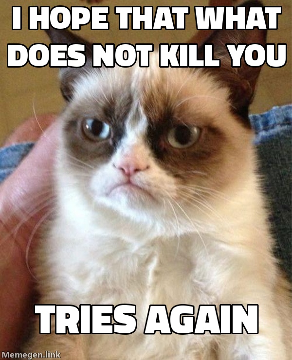 Grumpy Cat