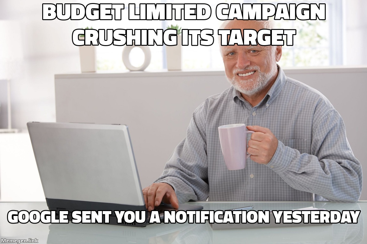 Google Just Flagged Campaigns That Are Too Good. Budget-Limited Accounts Have 41 Days to Respond.