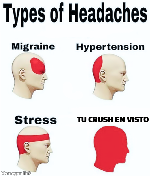 meme: TU CRUSH EN VISTO