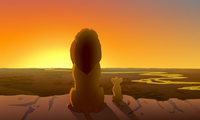 Everything The Light Touches