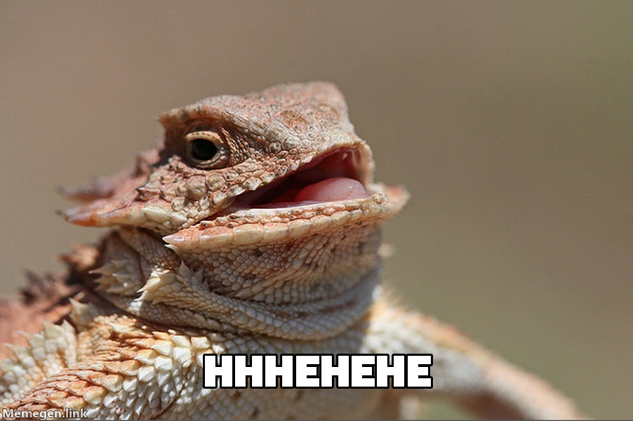 Laughing Lizard