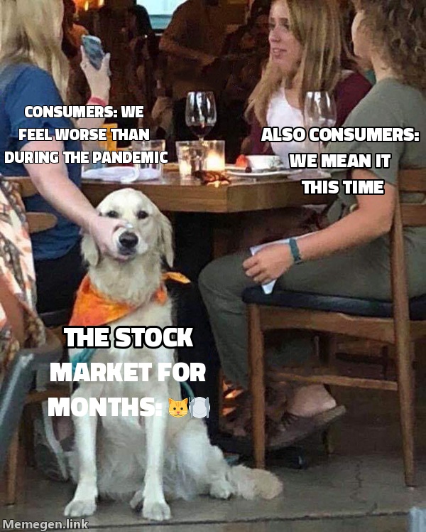 Consumers: ‘WE FEEL WORSE THAN DURING THE PANDEMIC.’ The stock market for the last few months: 🐱🍽️