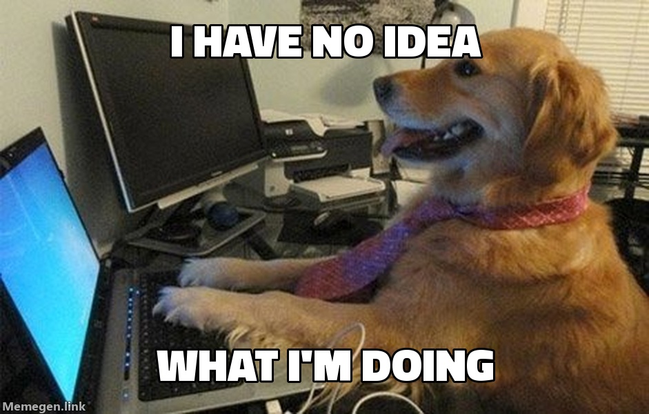 I Have No Idea What I'm Doing
