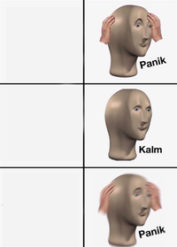 Panik / Kalm / Panik