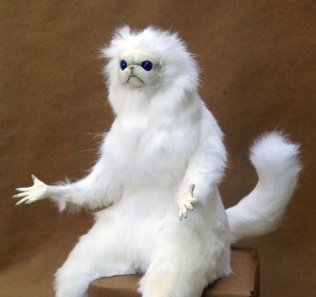 Persian Cat Room Guardian meme template