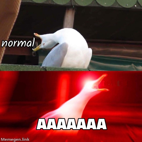 Inhaling Seagull