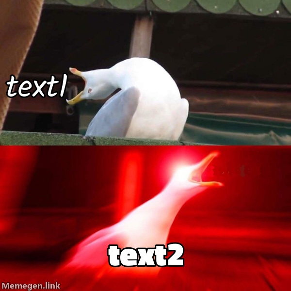 Seagull