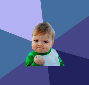 Success Kid meme template