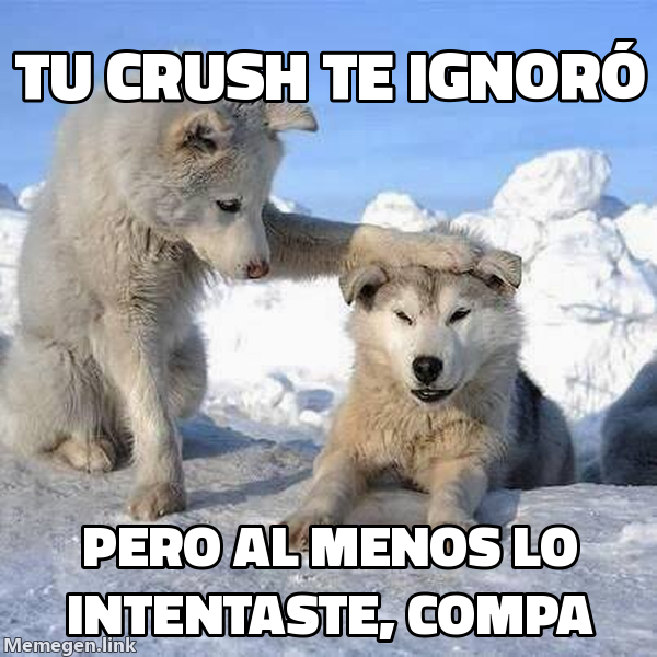 meme: Tu crush te ignoró / Pero al menos lo intentaste, compa
