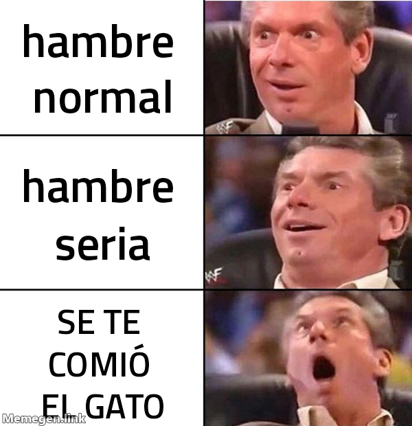 meme: hambre normal / hambre seria / SE TE COMIÓ EL GATO
