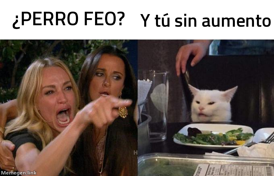 meme: ¿PERRO FEO? / y tú sin aumento...