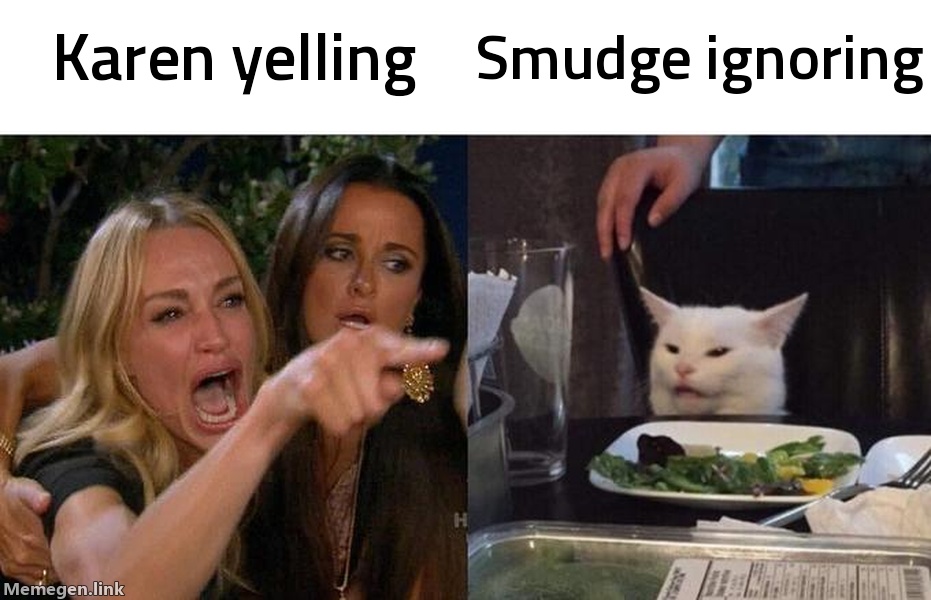 Woman Yelling at Cat