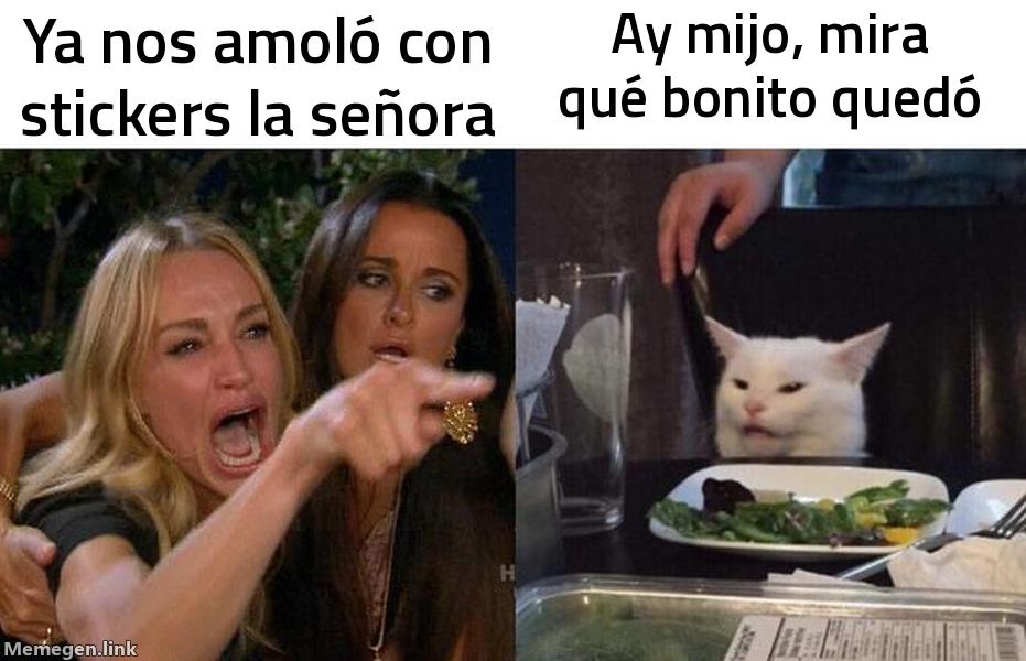 meme: ya nos amoló con stickers la señora / ay mijo, mira qué bonito quedó